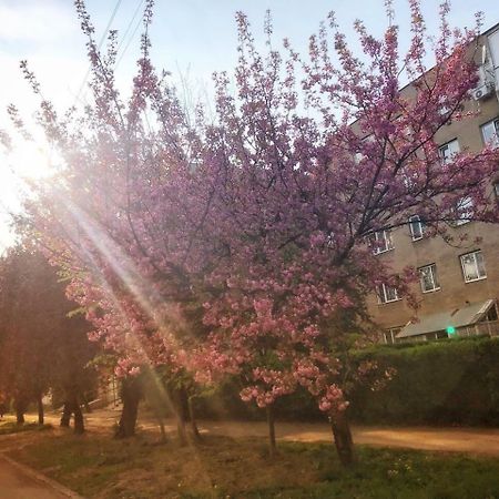 Сучасна Квартира В Центрі Міста Ужгород Экстерьер фото