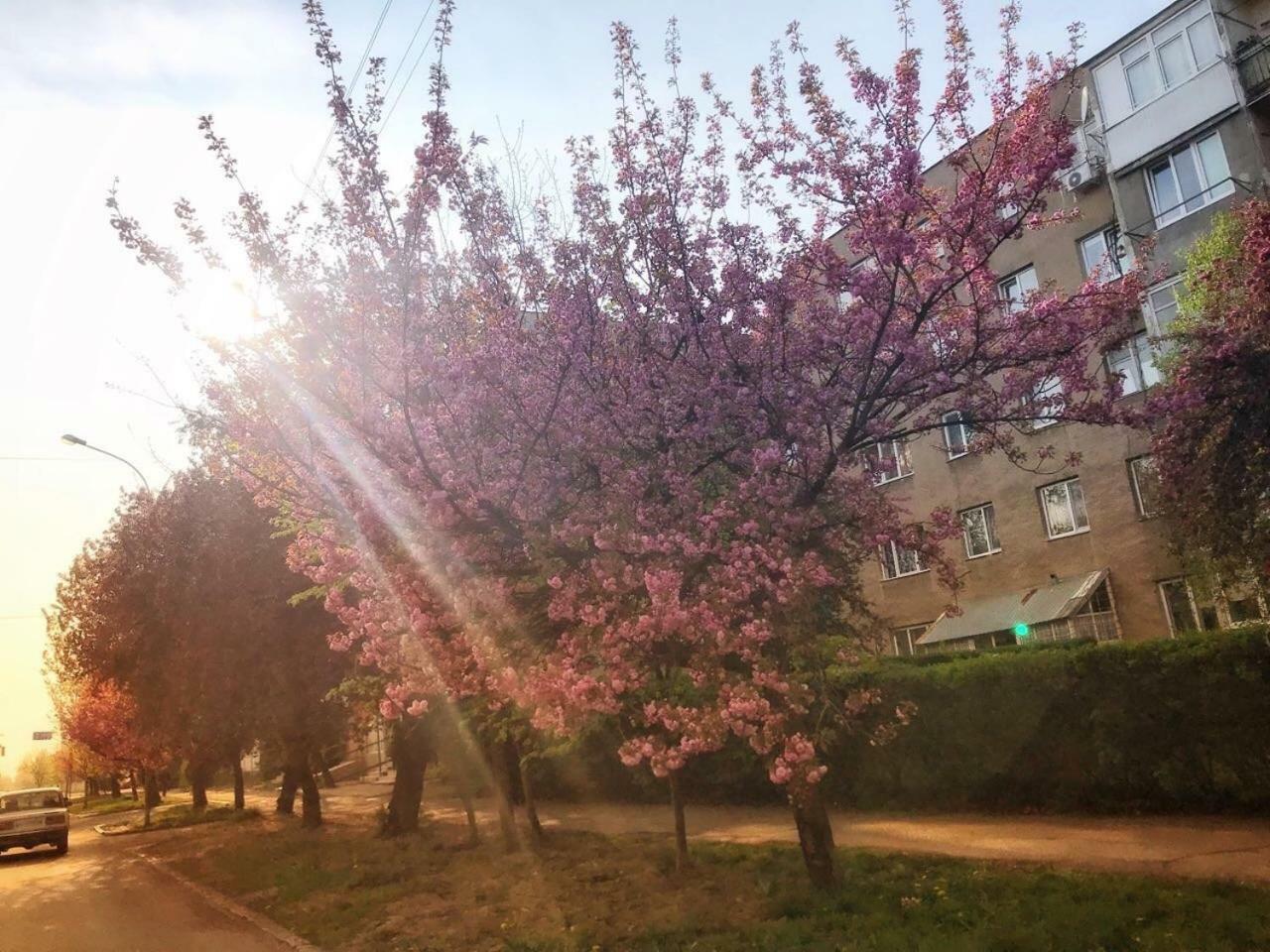 Сучасна Квартира В Центрі Міста Ужгород Экстерьер фото